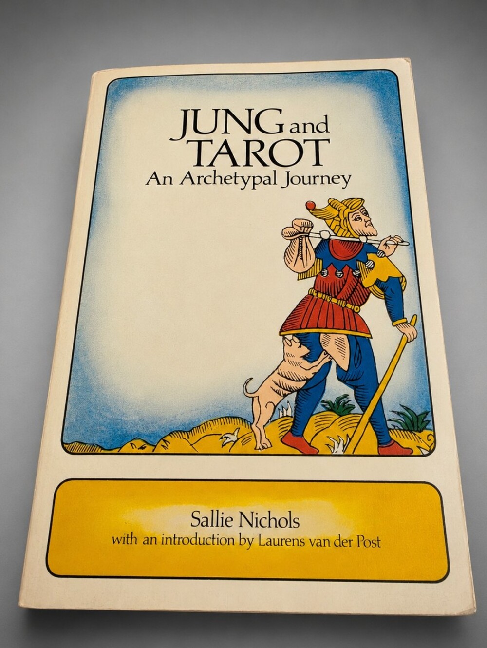 Jung Amd Tarot Softcover Book